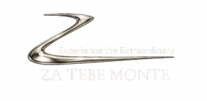 transparent logo